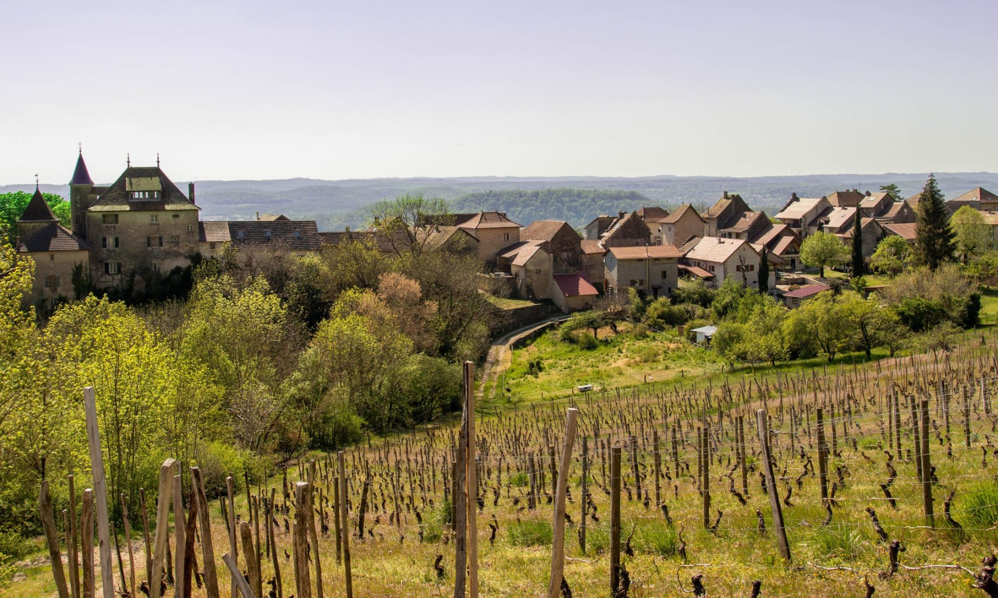 Vignes et château de Montagnieu, Bugey, Ain