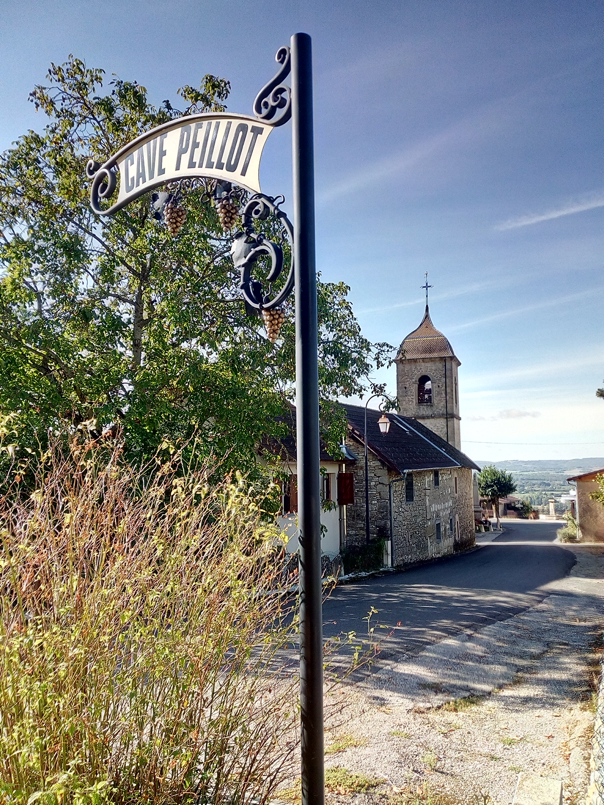 Enseigne Cave Peillot et église de Montagnieu